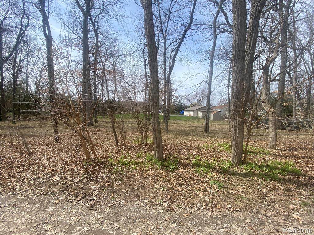 000 Edgewater Dr Parcel 2A - Photo 1