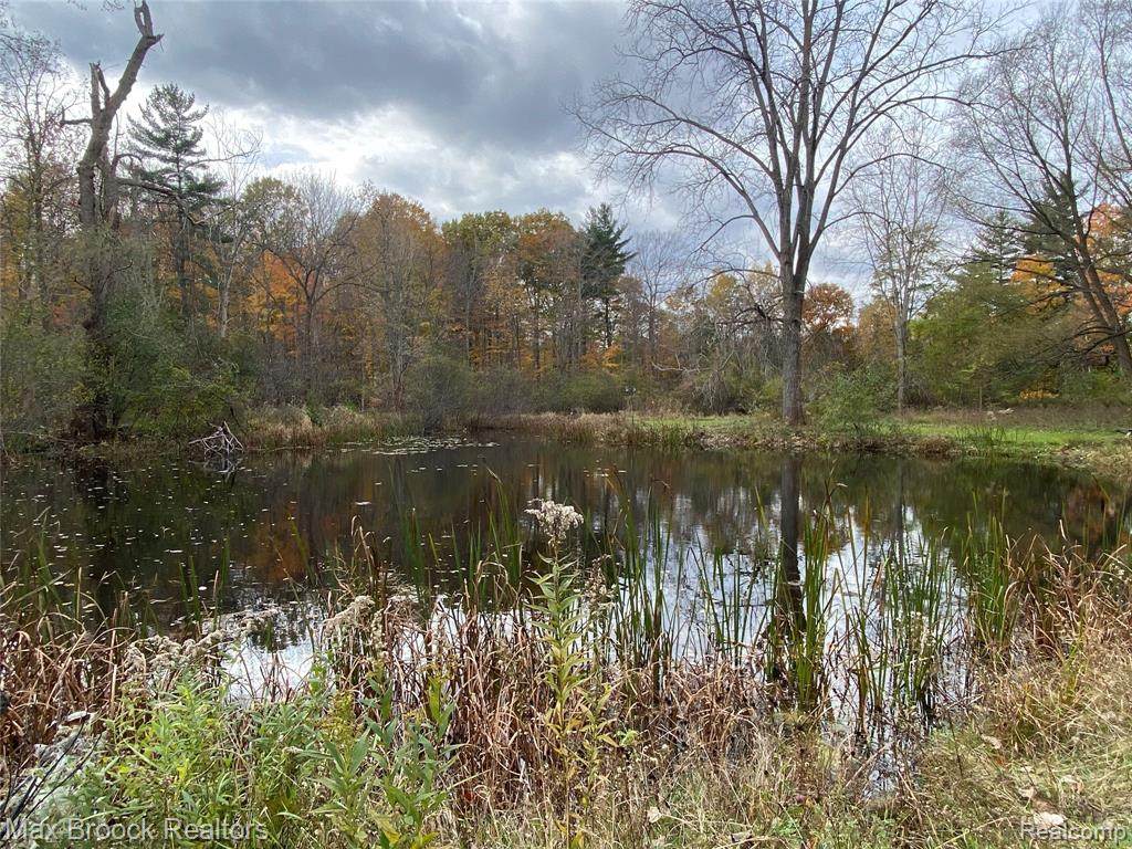 3971 Mill Lake Road - Photo 1