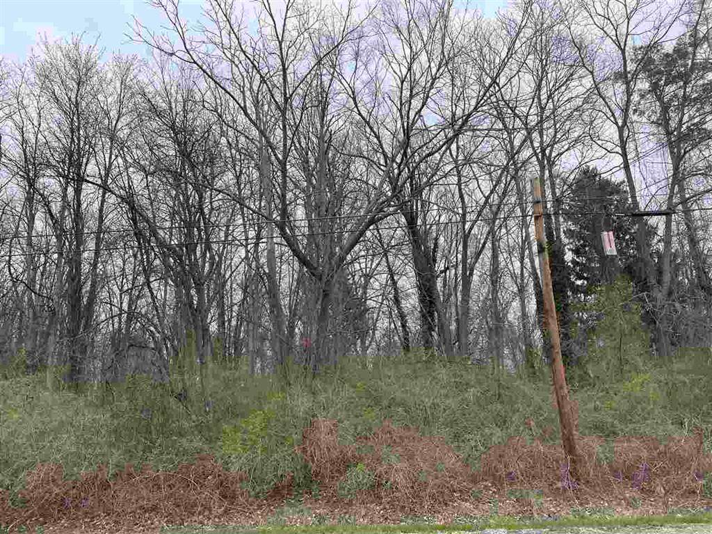 Vacant Lot Fairchild - Photo 1