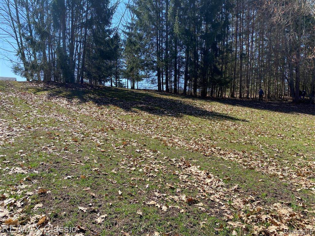1161 Seven Mile Road - Photo 1