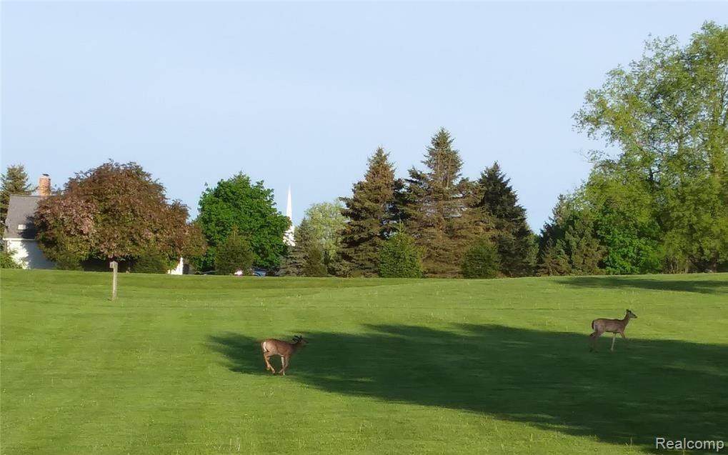 5417 Clarkston Road - Photo 1