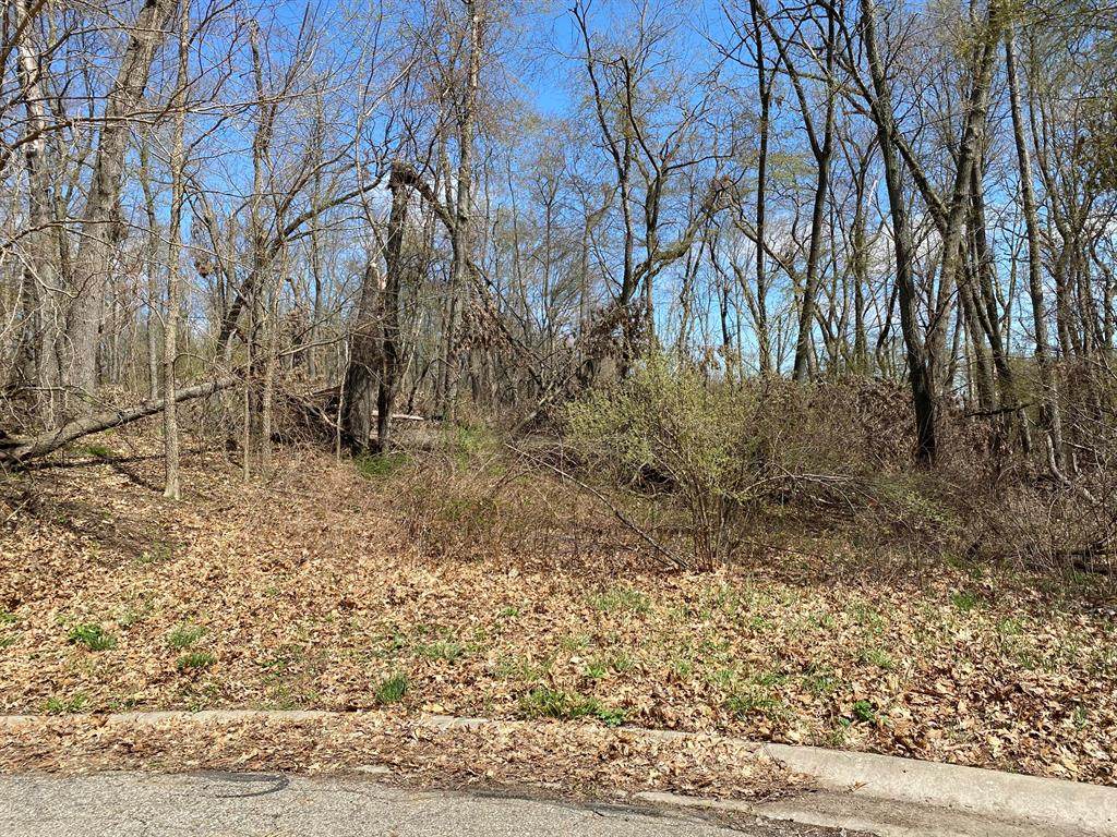 43 Appaloosa Lane - Photo 1