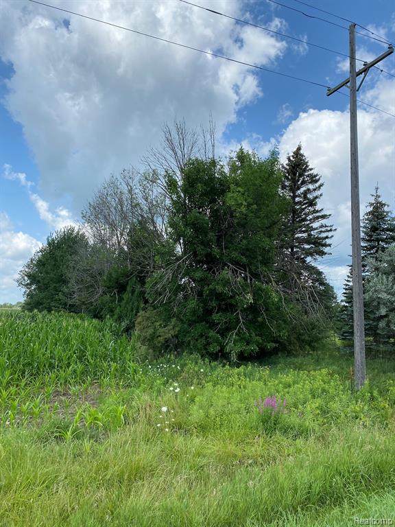4118 Van Dyke Road - Photo 1