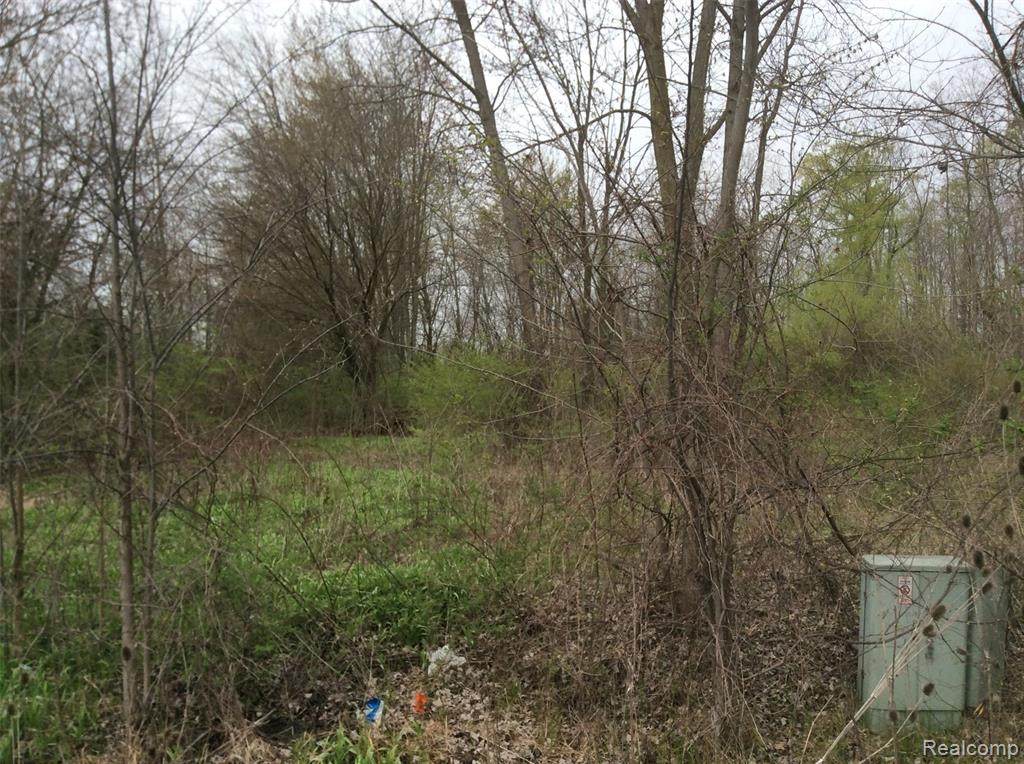 Vacant Rawsonville Road - Photo 1