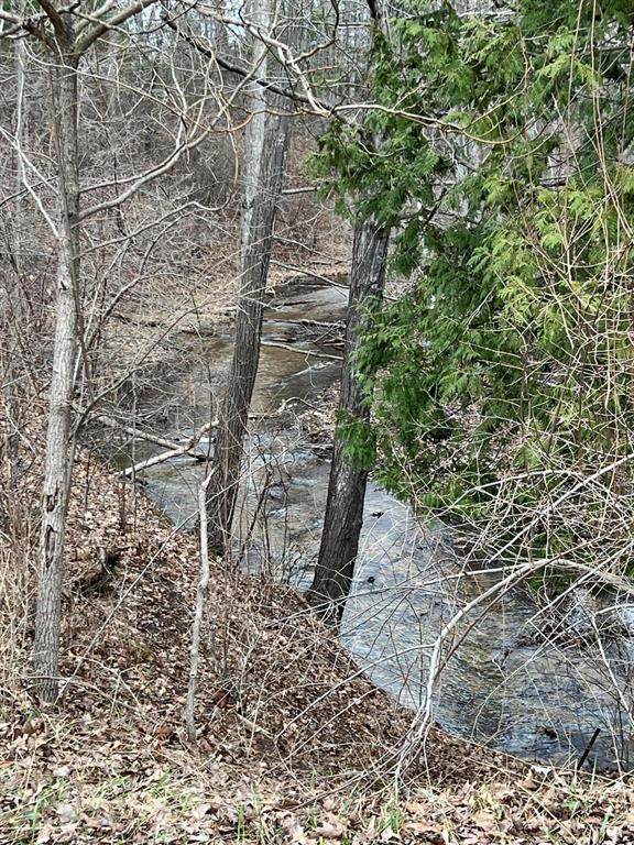 V/L 11 1/2 Mile Road - Photo 1