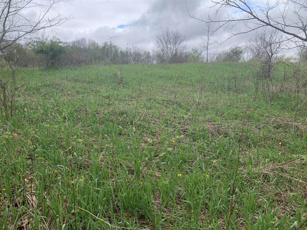 0001 30 Mile Road - Photo 1