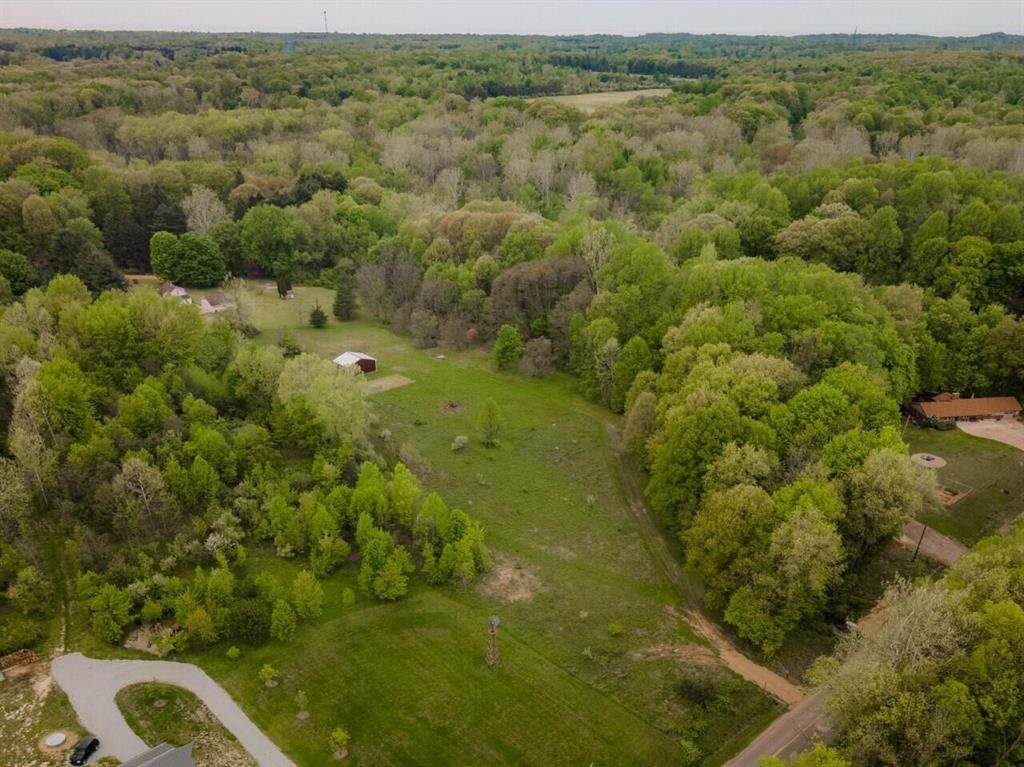 14736 Flynn Road - Photo 1