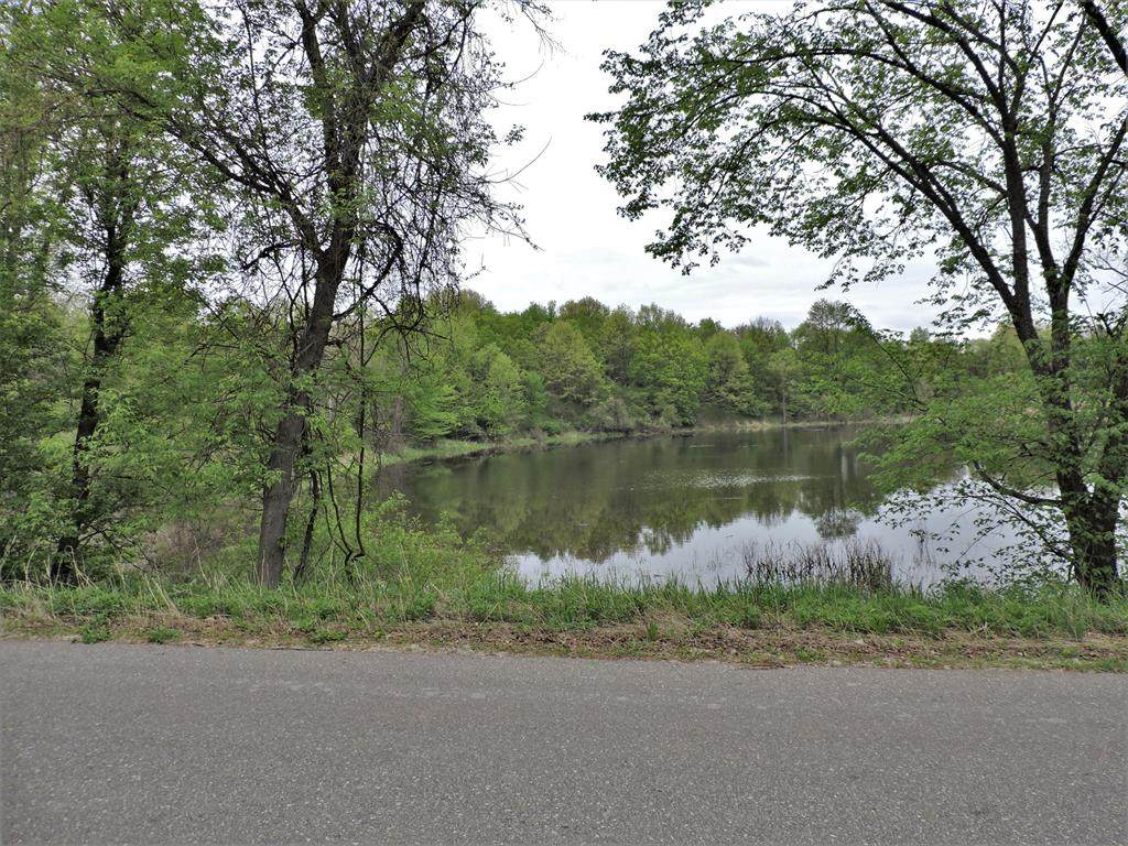 000 Round Lake Road - Photo 1