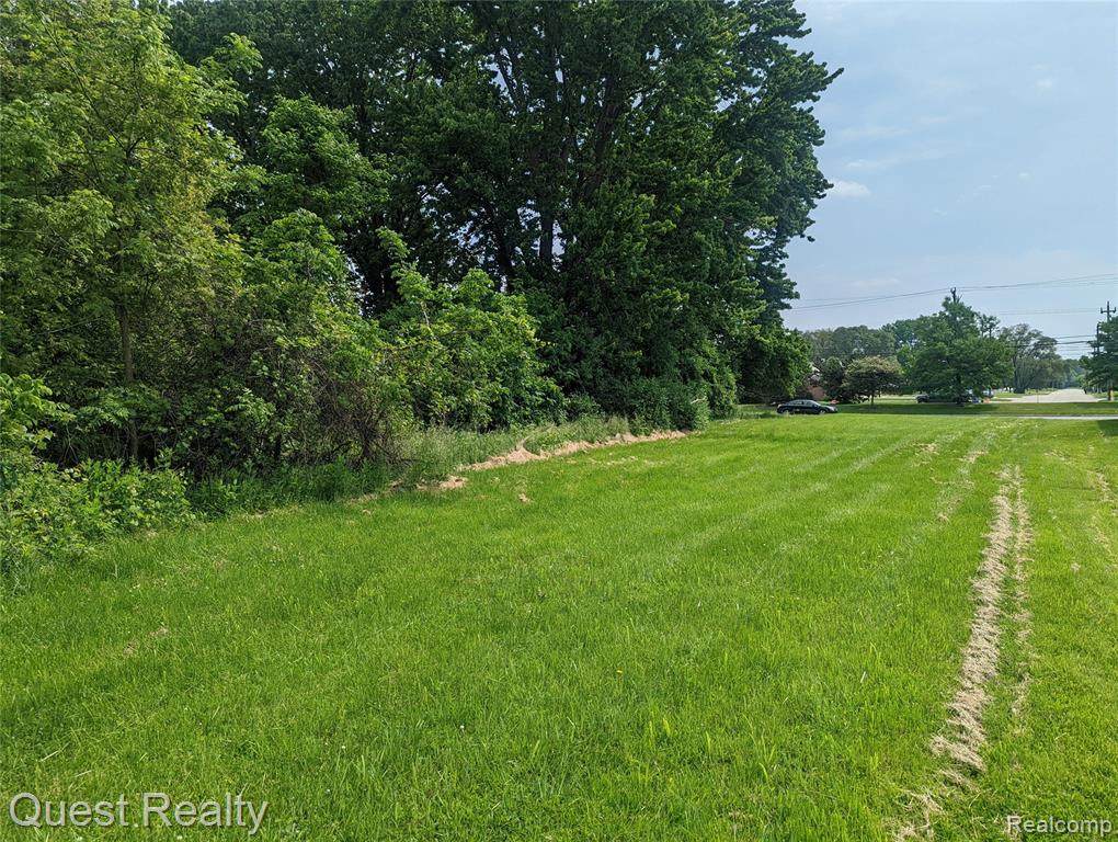 33953 Mound Road - Photo 1