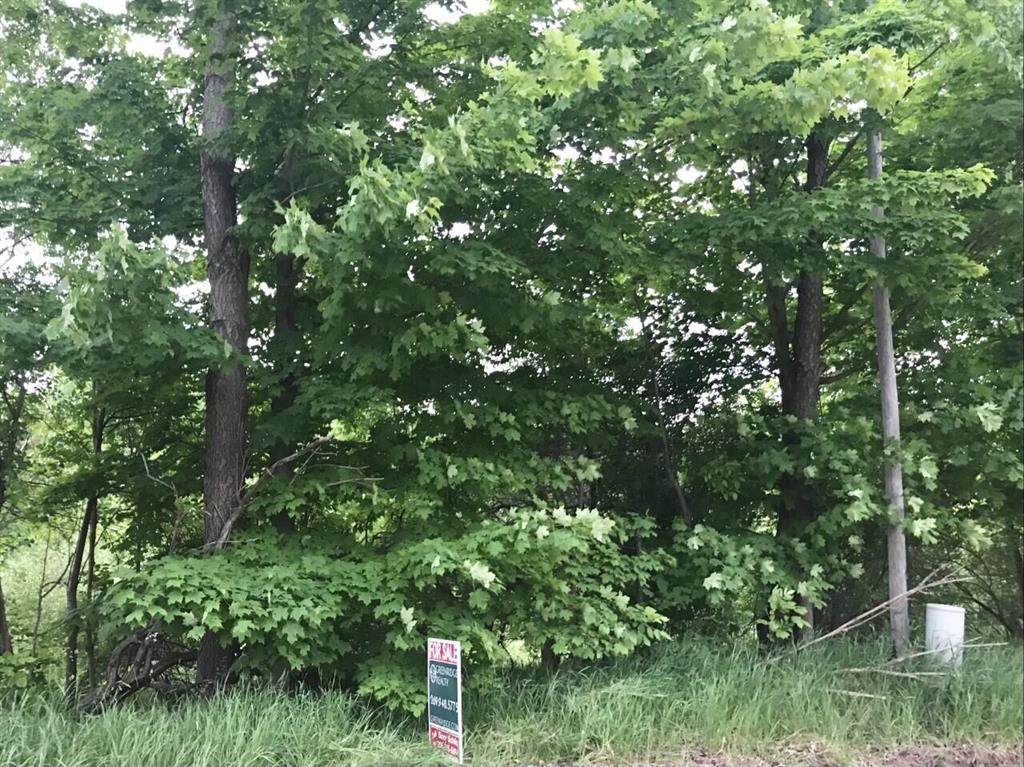 V/L Bivens Road - Photo 1