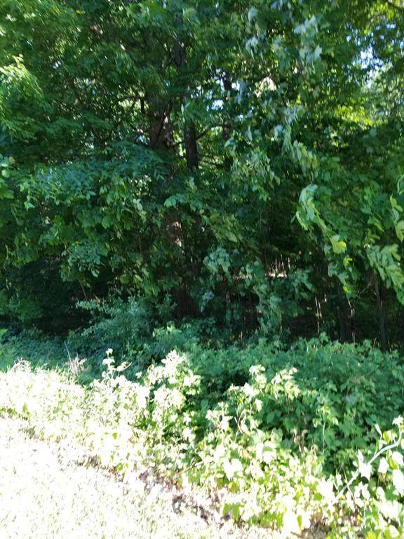 Lot 23 Talon Drive - Photo 1