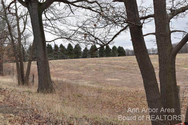 9250 Stofer Road - Photo 1