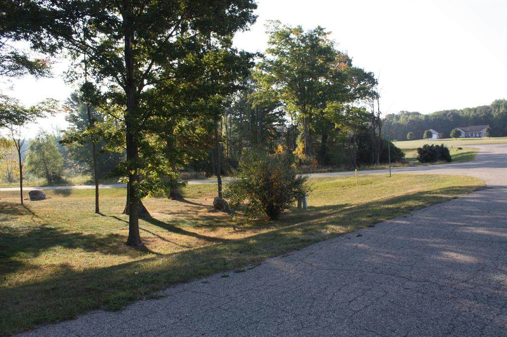 Lot 14 0 Fox Glove Circle - Photo 1