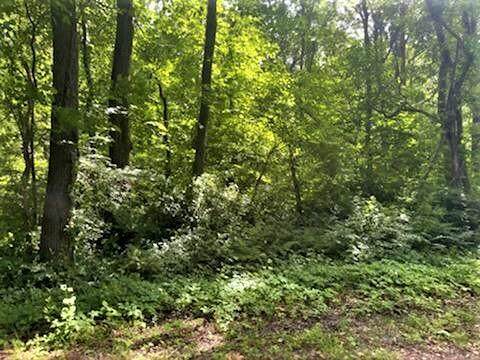 5845 M-63 Highway - Photo 1