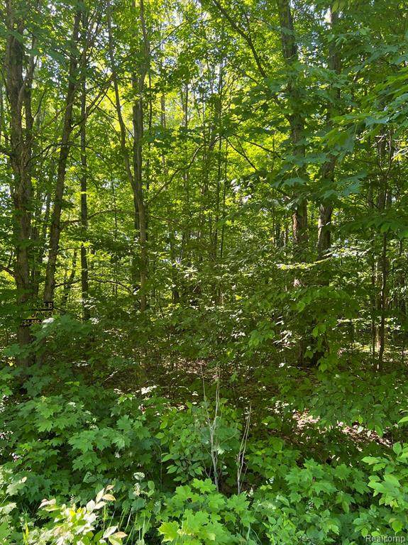 0000 Sprucedale Circle - Photo 1
