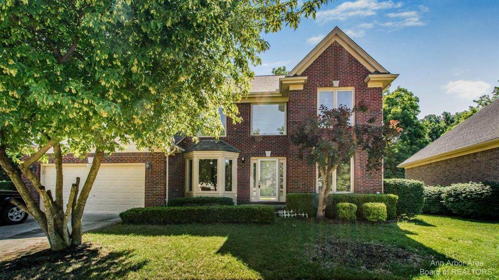 38038 Opatik Court - Photo 1