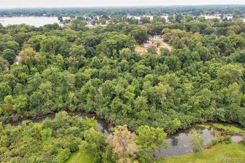 6 Vacant Lots White Lake - Photo 1