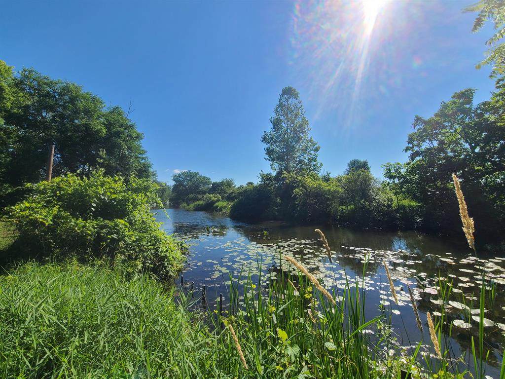 V L Oliverda Road - Photo 1
