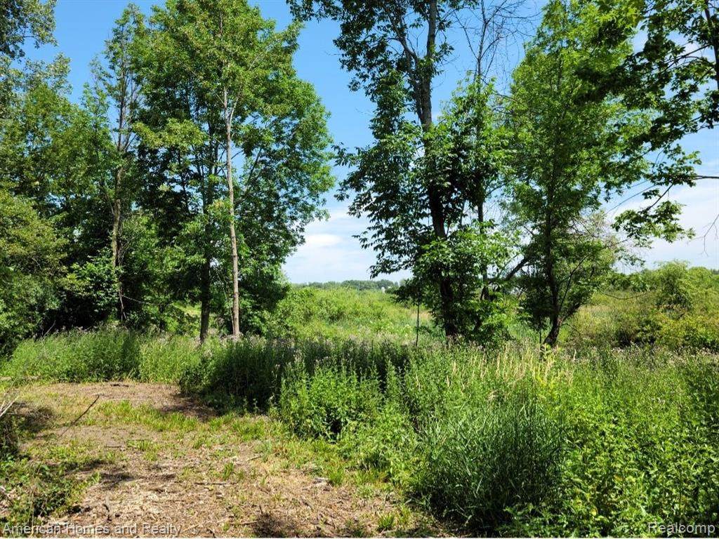 Lots 3,4 Penn Lane - Photo 1