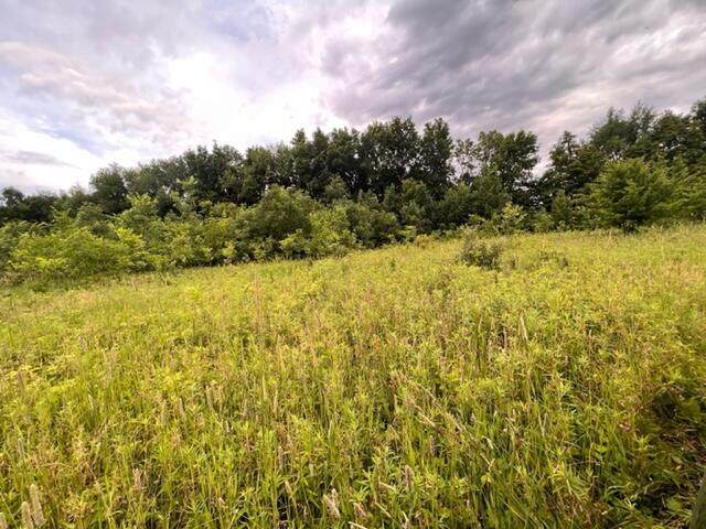 7528 Countryside Lane - Photo 1