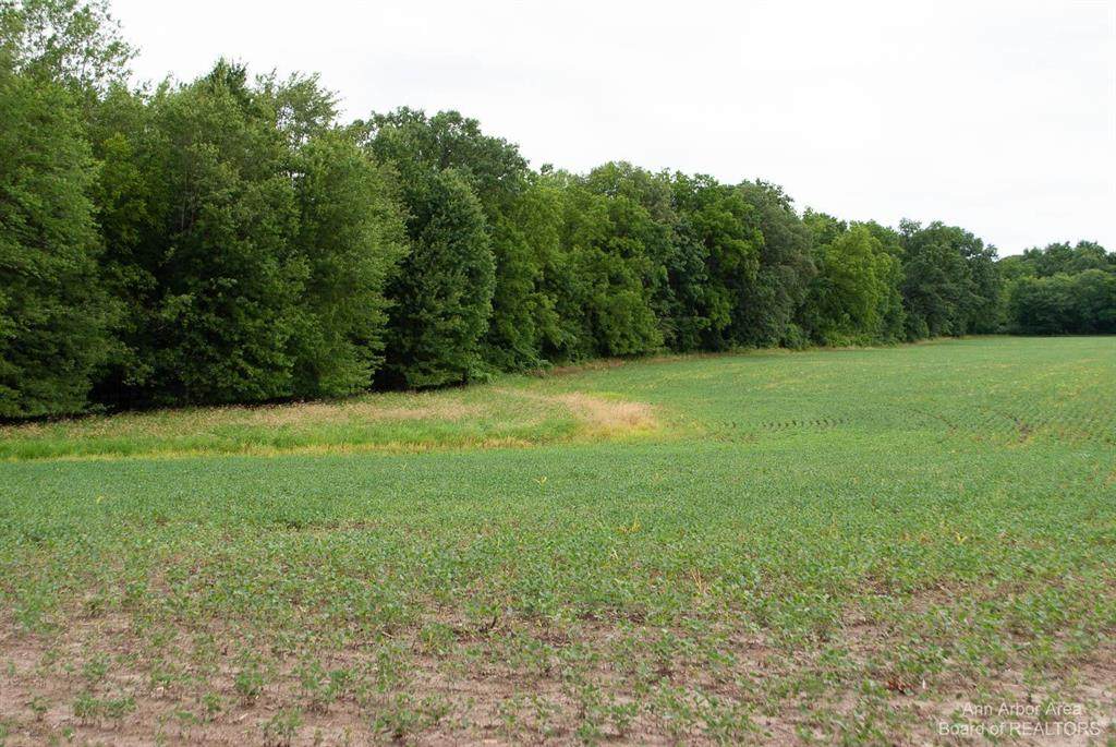 10775 Ellsworth Road - Photo 1