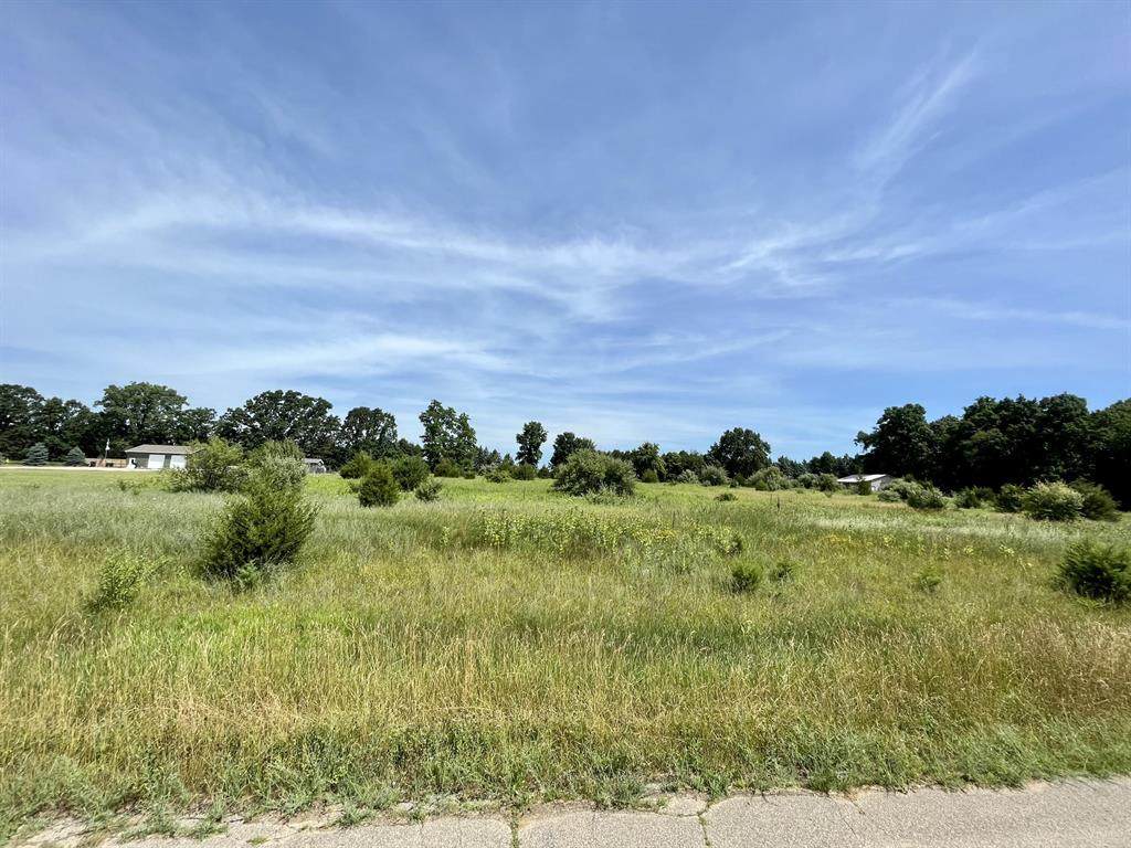 0 Shirley Drive - Photo 1