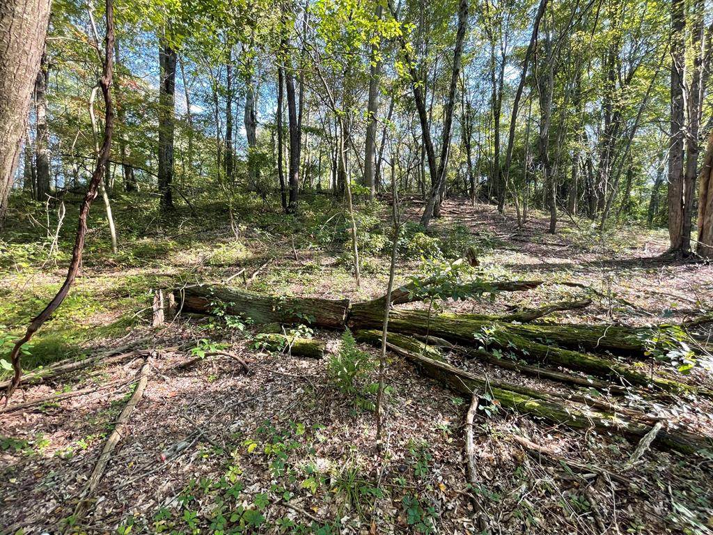 7775 N Avenue - Photo 1