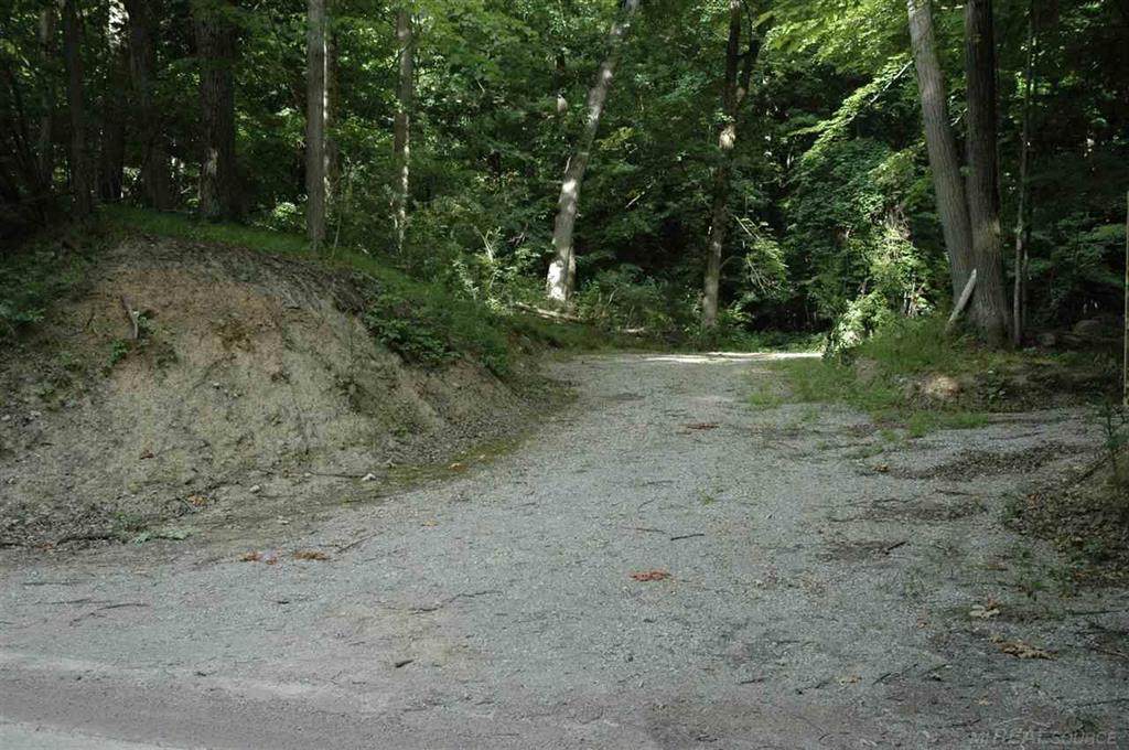 4920 Hosner Rd - Photo 1