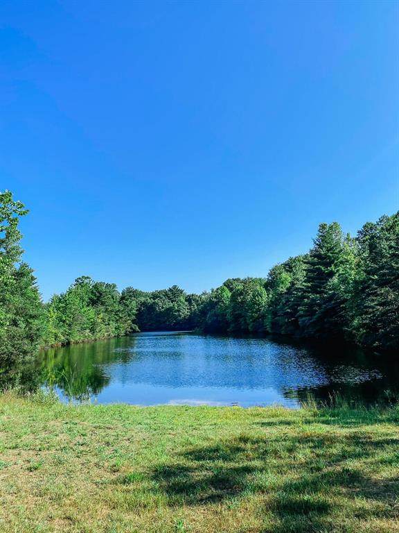 43534 Timber Trail - Photo 1