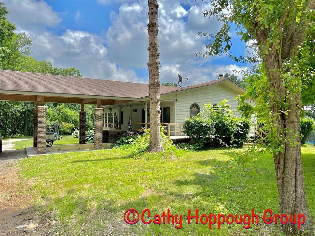 4233 Smokey Row - Photo 1
