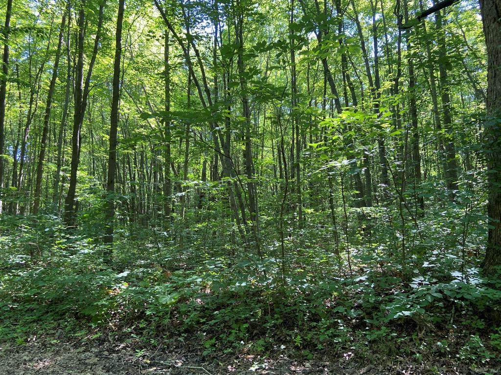19339 Shedd Road - Photo 1