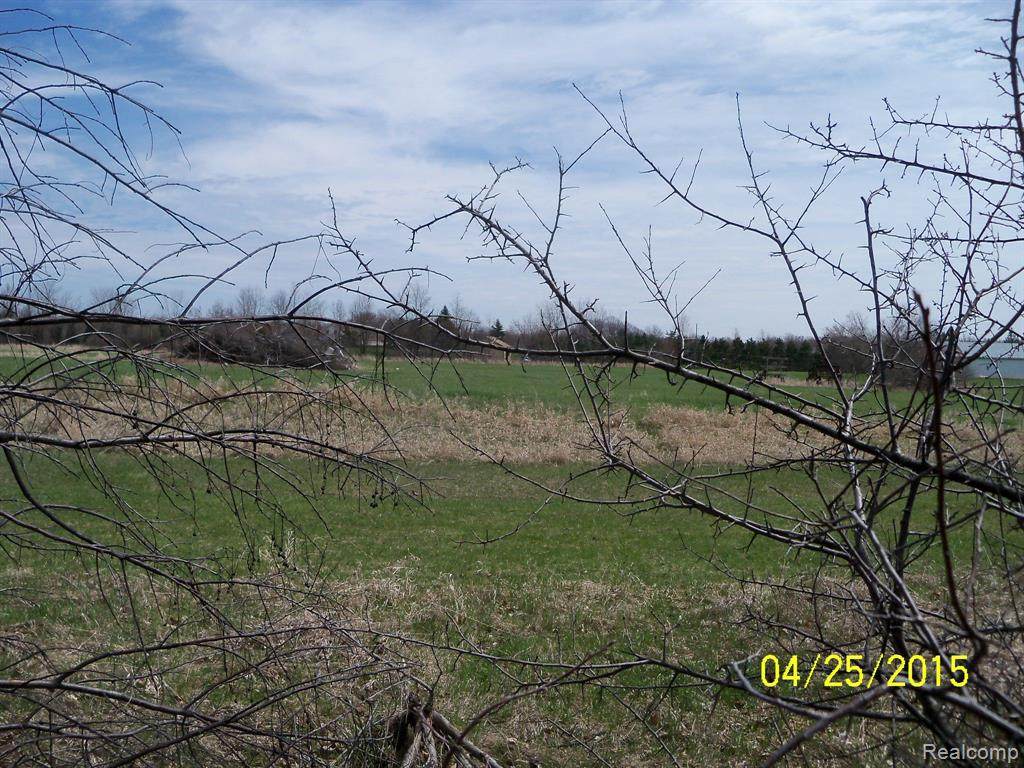 000 Lockwood Parcel #3 Road - Photo 1