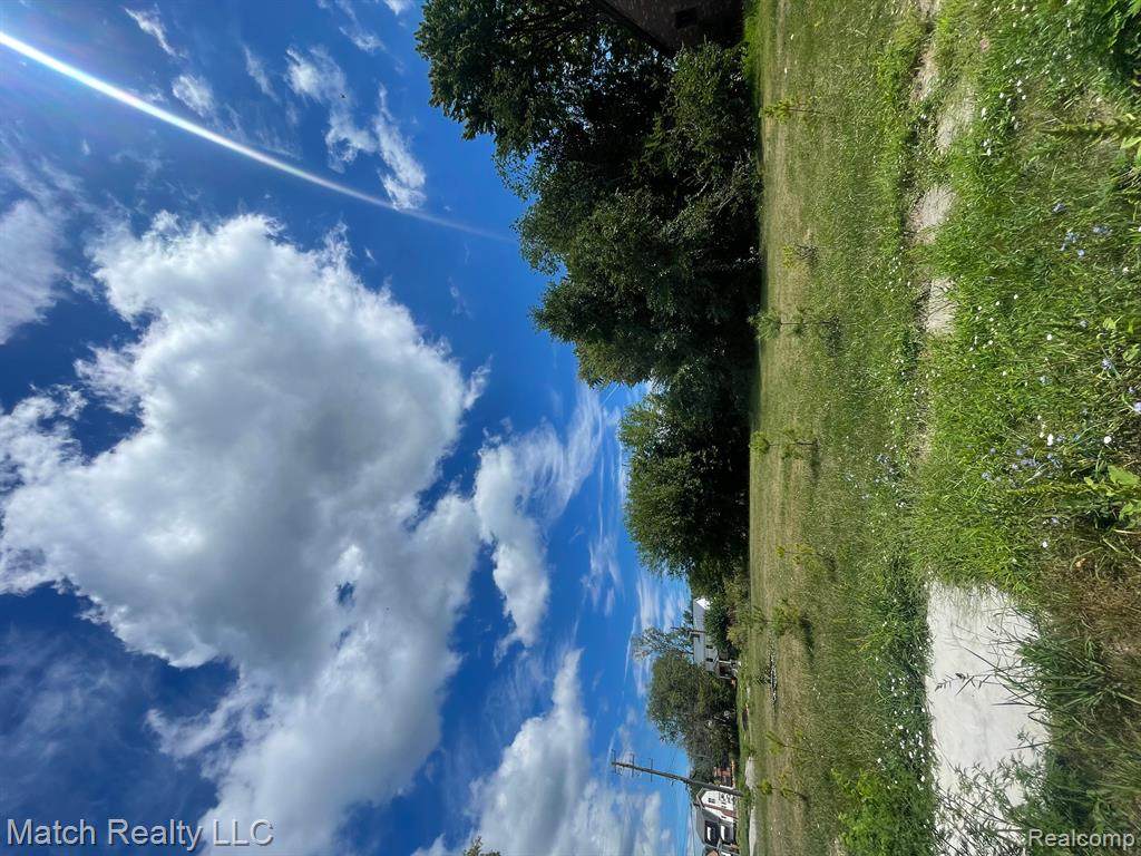 492 Manistique Street - Photo 1