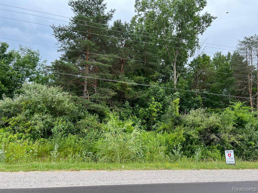 00 Mount Morris Road - Photo 1