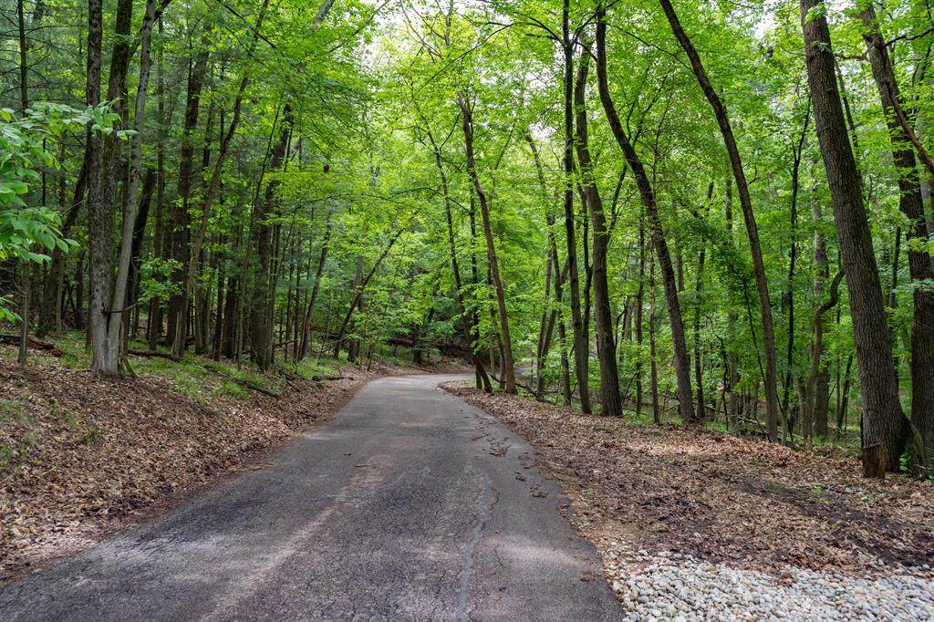 1981 Timber Trail Drive - Photo 1
