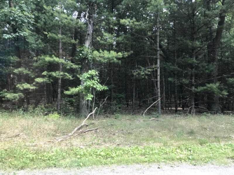 0 Mcmillan Road - Photo 1