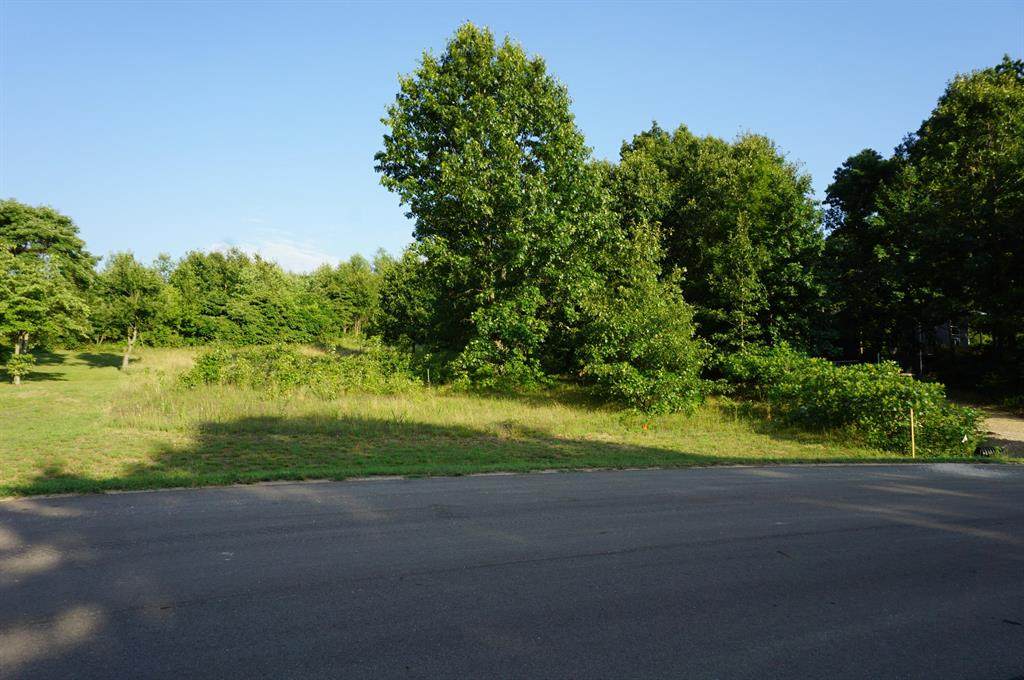 69675 Rose Meadow Drive - Photo 1