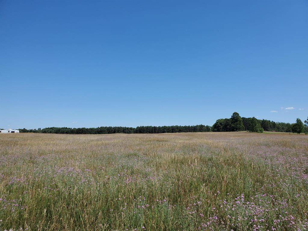 0 Mackinaw Trail - Photo 1