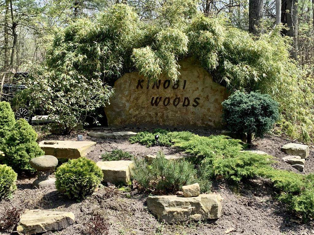 Parcel D Kinobi Woods Way - Photo 1