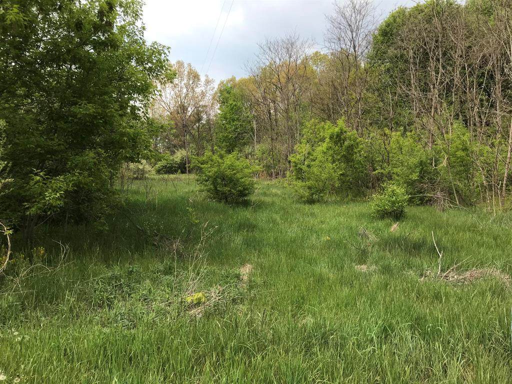 V/L Territorial Road - Photo 1