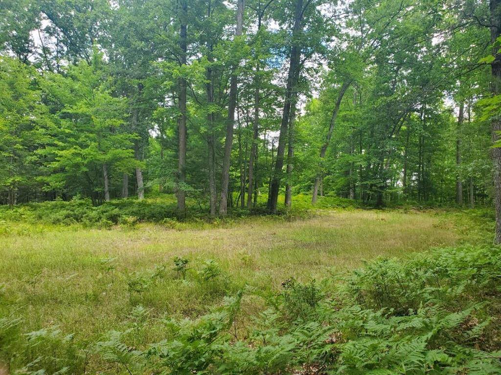 6003 Barothy Road - Photo 1