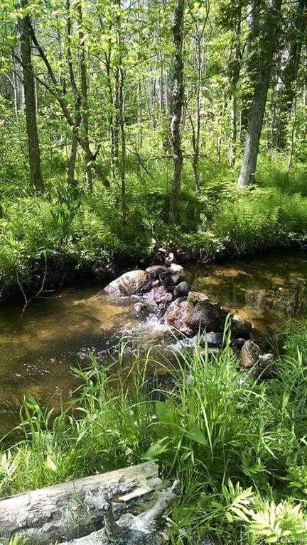 791 Skinkle Road - Photo 1