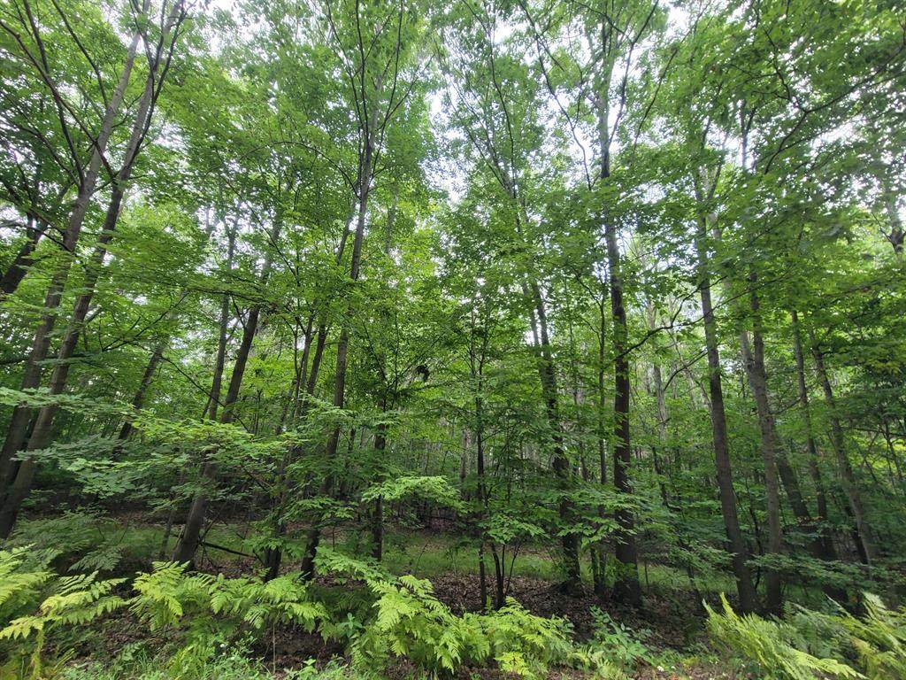 10 Acres Weaver Road - Photo 1