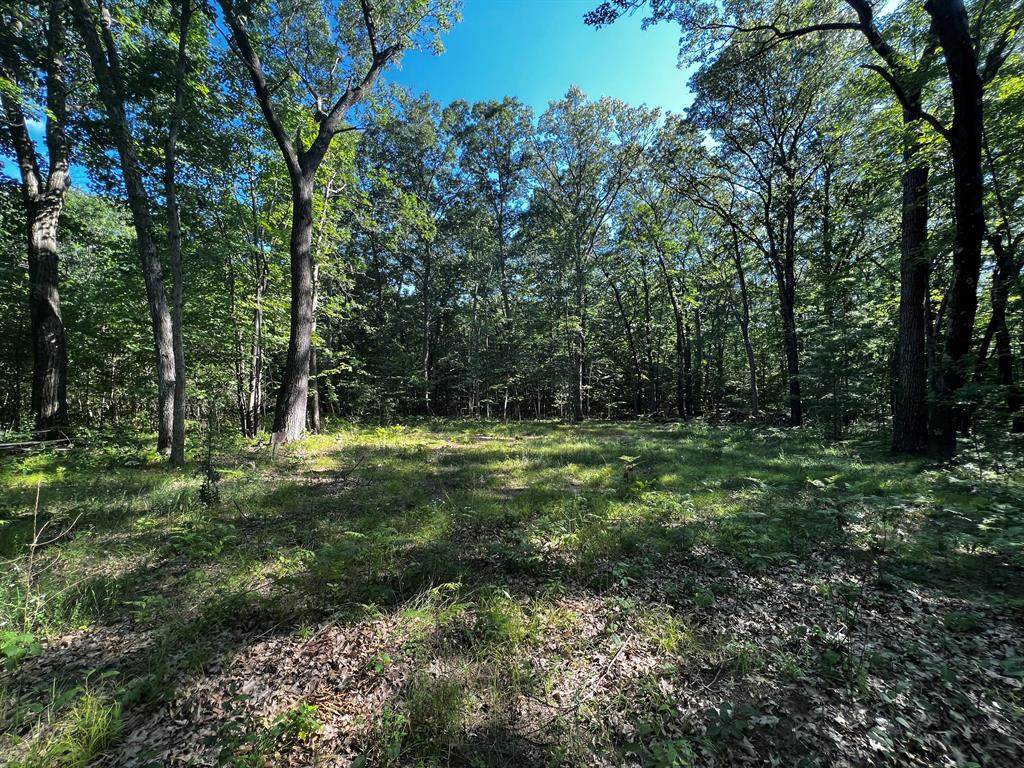00 Stolberg Road - Photo 1