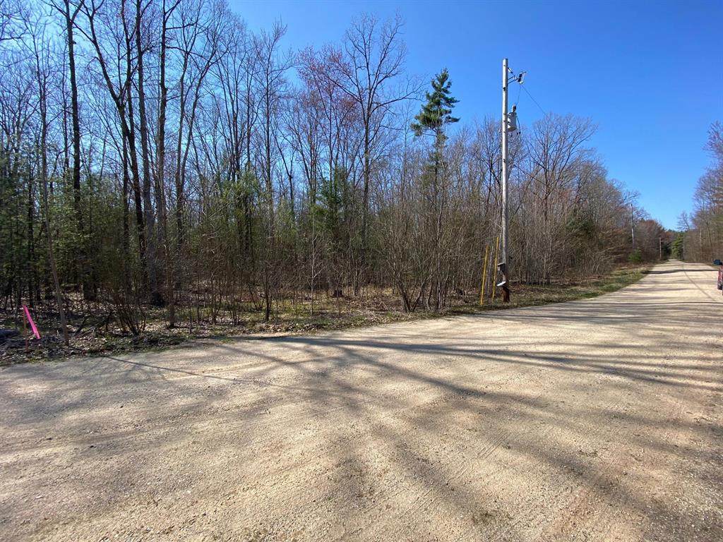 V/L Bard Road - Photo 1