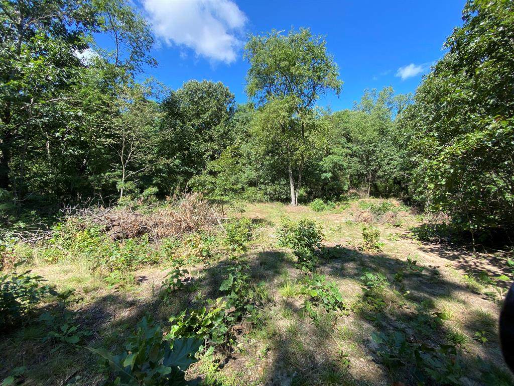 11813.1 River Road - Photo 1