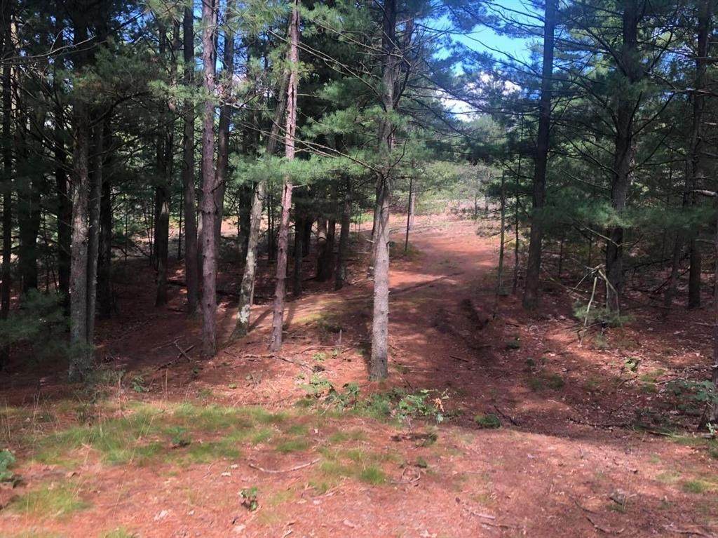 0 Crystal Lake Road - Photo 1