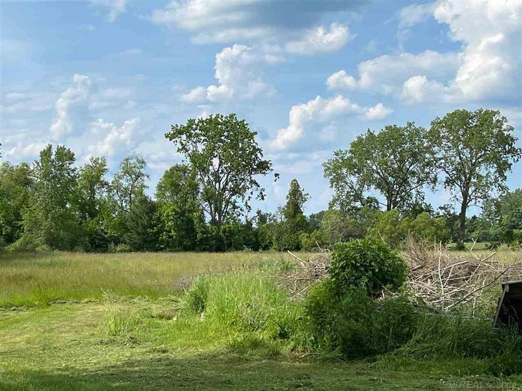 00 Forester Rd. - Photo 1