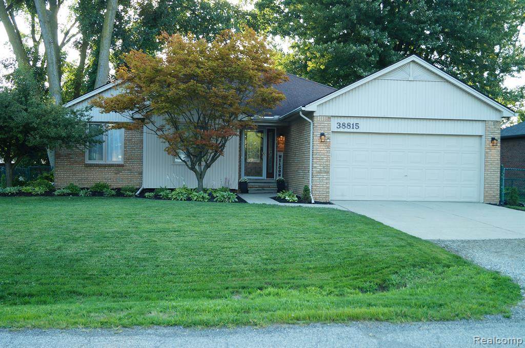 38815 Radde Street - Photo 1