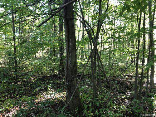 000 Maplegrove Lane - Photo 1